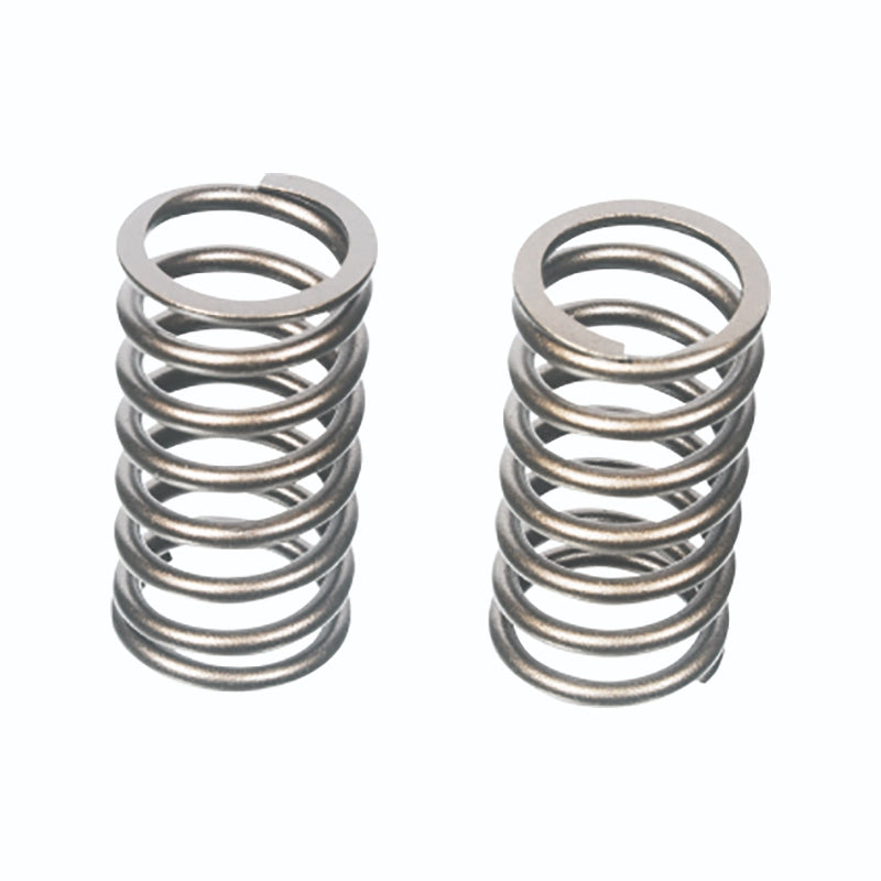 (1560A) VALVE SPRING 855