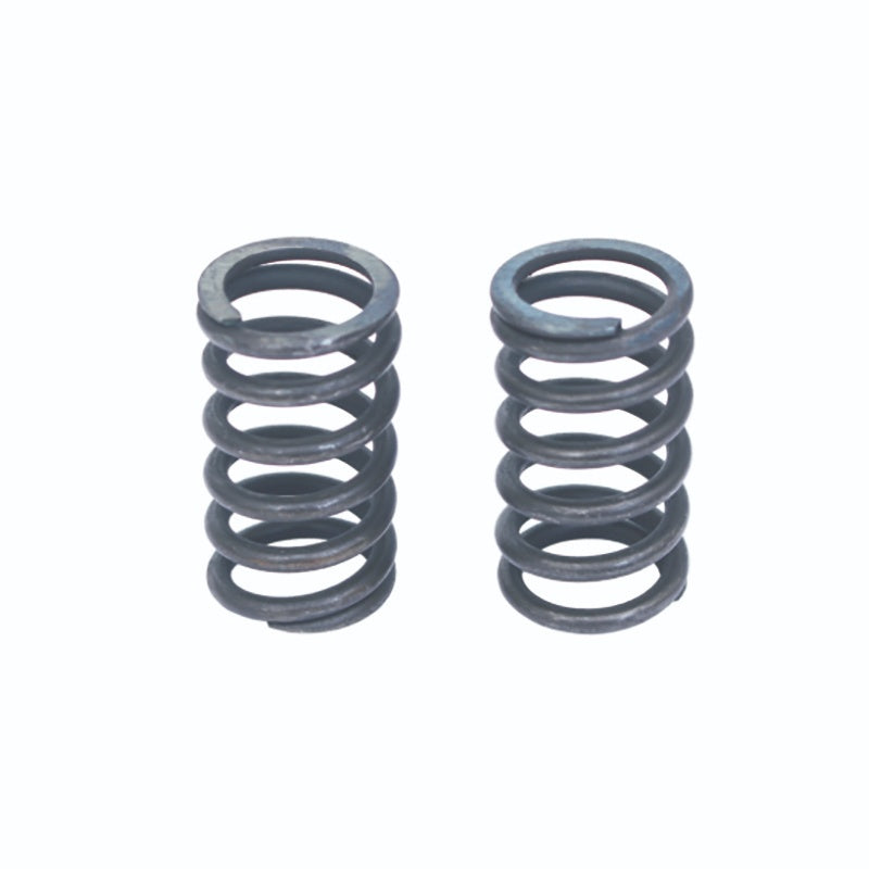 (1560C) VALVE SPRING 735 XM