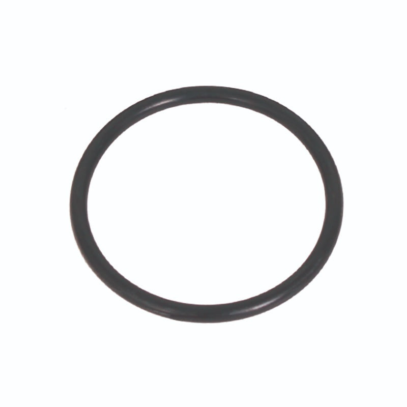 (2174M) RUBBER "O" RING (100MM PISTON)