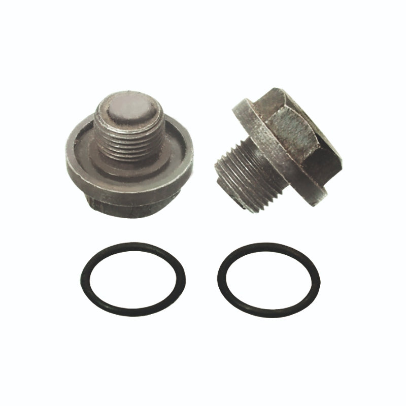 (1616A) DRAIN PLUG MAGNETIC WITH "O" RING FOR C.I. CHAMBER