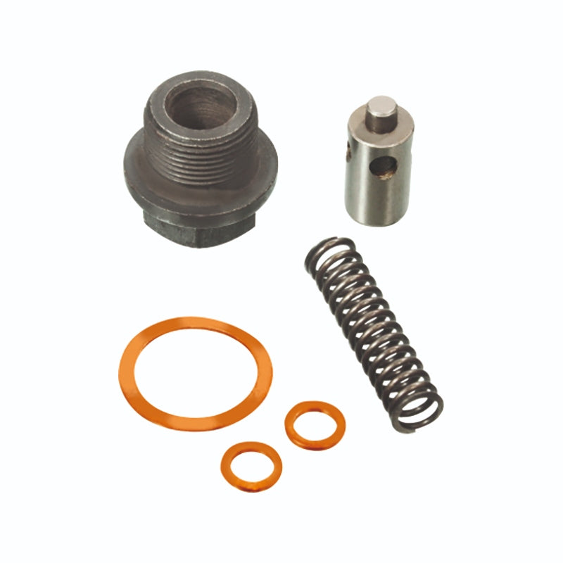 (1623B) RELIEF VALVE KIT OF 6 WITH PLUG – RE-ROSHAN