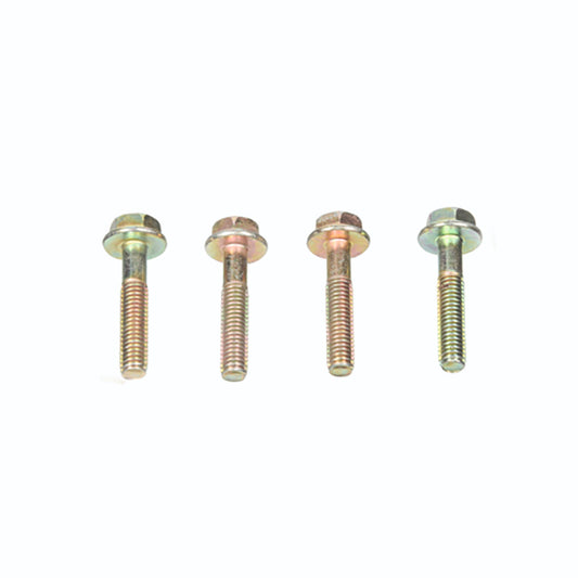 (2316G) SHOW BOLT6x30 (FLANGE HEAD)855 FE